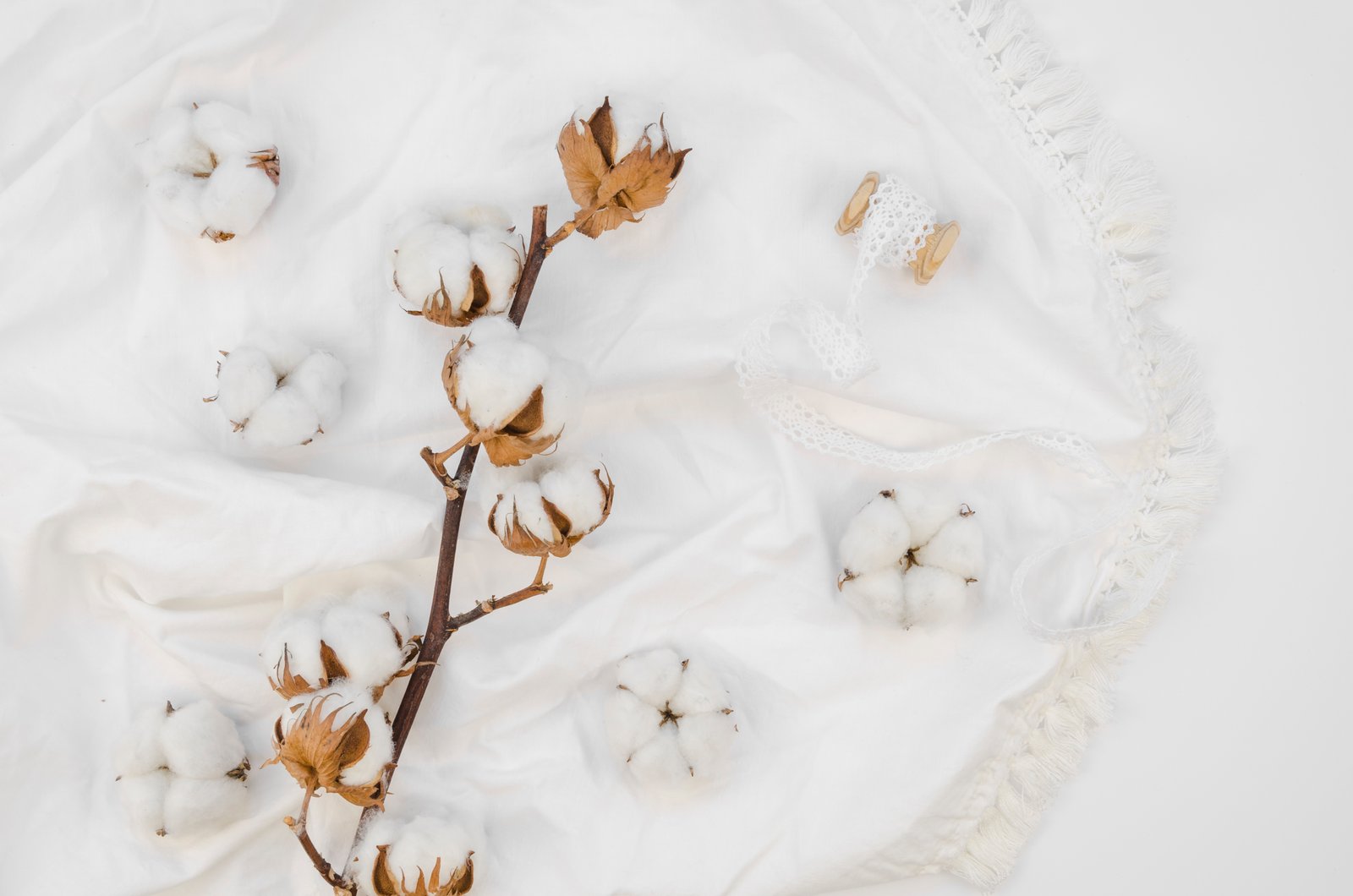 Embroidered Fabric Collection - Pink & Gold